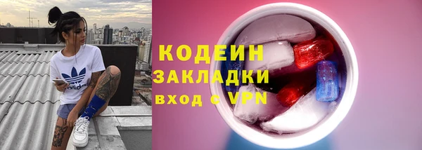 соль ск Няндома