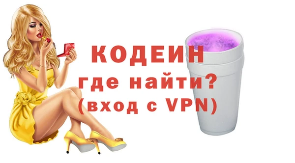 соль ск Няндома