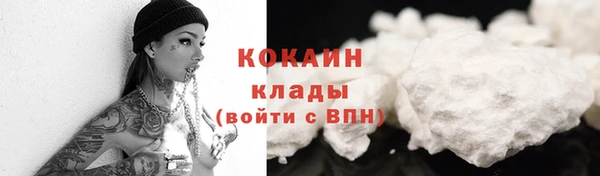 соль ск Няндома