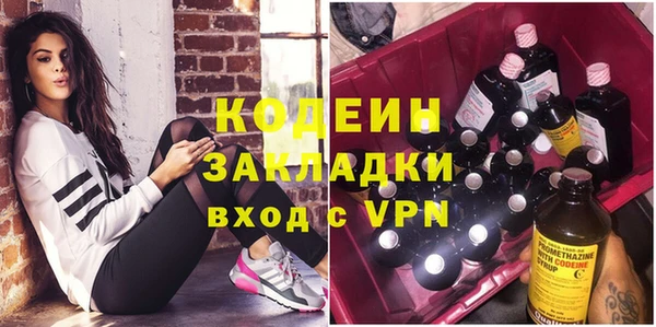 соль ск Няндома