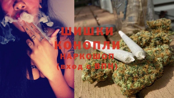 соль ск Няндома
