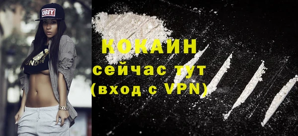 соль ск Няндома